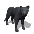 Pantera 6.gif