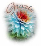 grazie_056.jpg