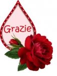 grazie_018.jpg