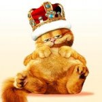 catto.jpg