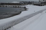 DSC_0929.jpg