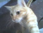 03-10-09_1345.jpg