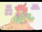 pizap.com13326699233292fiori 2.jpg