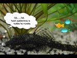 pizap.com13327727982041pesce.jpg