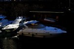 DSC_0547.jpg