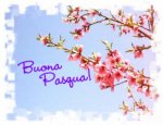 buona-pasqua-fiori.jpg