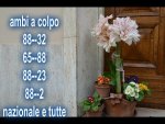 pizap.com13337115838491fiore.jpg