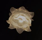 DSC_0047.jpg