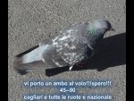 pizap.com13351196414931.jpg