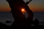 DSC_0605.jpg