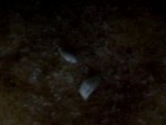 Snapshot_20120506.JPG