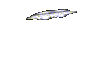 500.gif