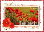 02_buonadomenica.jpg