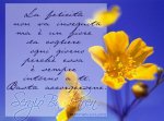 FELICITA'.jpg