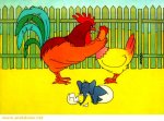 GALLO.jpg