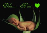 Dolce notte.jpg