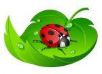 Fotolia_8151429_XS.jpg