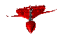 11.gif