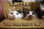 graphics-coffee-674148.jpg