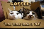 graphics-coffee-674148.jpg