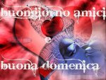 bdomenicacuore.jpg