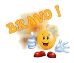 bravol10.jpg