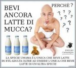 bevi ancora latte.jpg