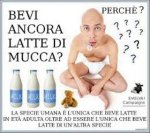 bevi ancora latte.jpg