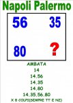 INTSIMNAPA14.jpg