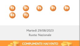 by-esperimento-collimanti-a-colpo-29-8-2023.jpg by-esperimento-collimanti-a-colpo-29-8-2023.jpg