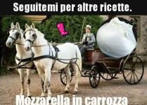 FB_IMG_1693989956778.jpg