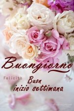 FB_IMG_1695009727399.jpg