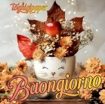 Immagini-buongiorno-autunnale-nuove-bellissime-gratis-WhatsApp-Facebook-06012815.jpg