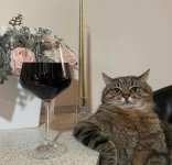 cat%20wine.jpg