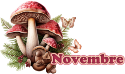 Novembre 2023.png