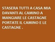 FB_IMG_1699898645089.jpg