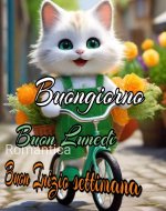 FB_IMG_1700467799076.jpg