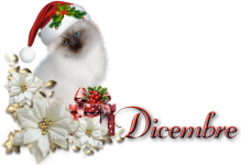 Dicembre.png