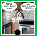 Screenshot 2023-12-05 at 15-30-07 due pesi due misure frasi - Ricerca Google.png