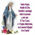 FB_IMG_1702006885684.jpg