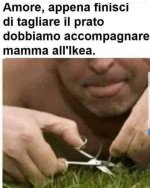 FB_IMG_1702140103436.jpg