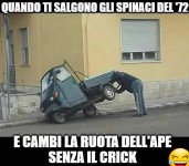 FB_IMG_1702813590554.jpg