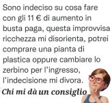 FB_IMG_1703046555003.jpg