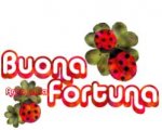 2011217144124_bfduococcinelle.jpg