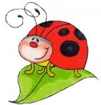 COCCINELLA.jpg