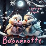 buonanotte-immagini-belle-freddo-inverno-bacionotte-buona-notte-invernale-nuove-2024-originale...jpg