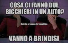 due-bicchieri-in-auto.jpg