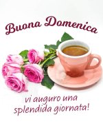 FB_IMG_1707629518317.jpg