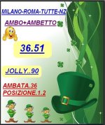 SUPER AMBO.jpg