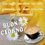 FB_IMG_1709622500634.jpg